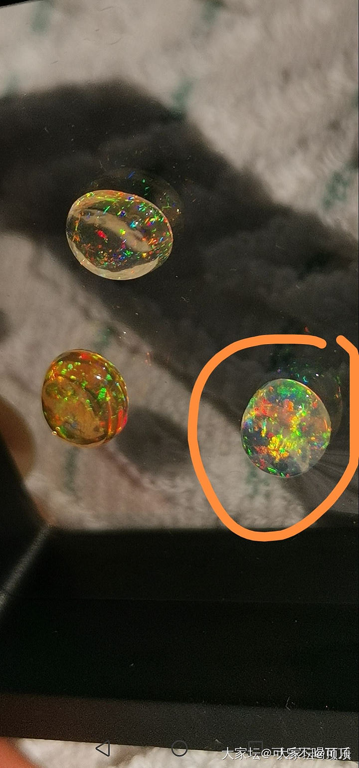 大家看看3颗墨西哥火欧泊哪个比较划算_彩色宝石