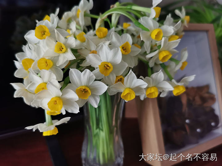 像极了韭菜_植物