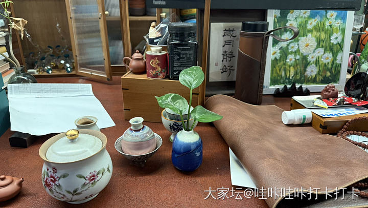 姐妹们，你们办公桌都养的什么绿植啊？_植物