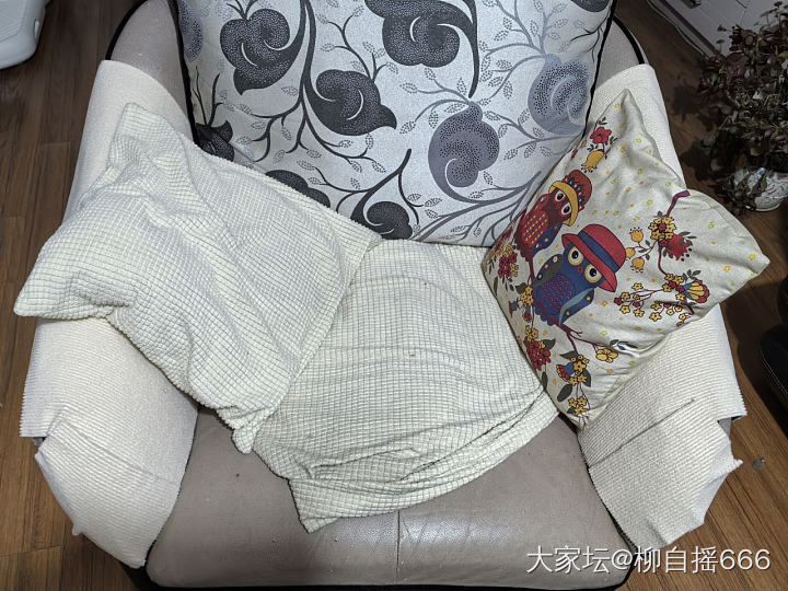 元宵节，除了吃汤圆，还能干些啥？_猫