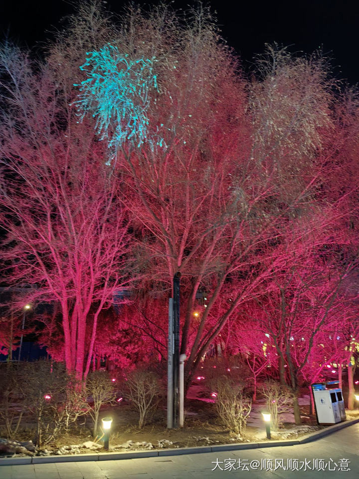 正月十五闹花灯_节日