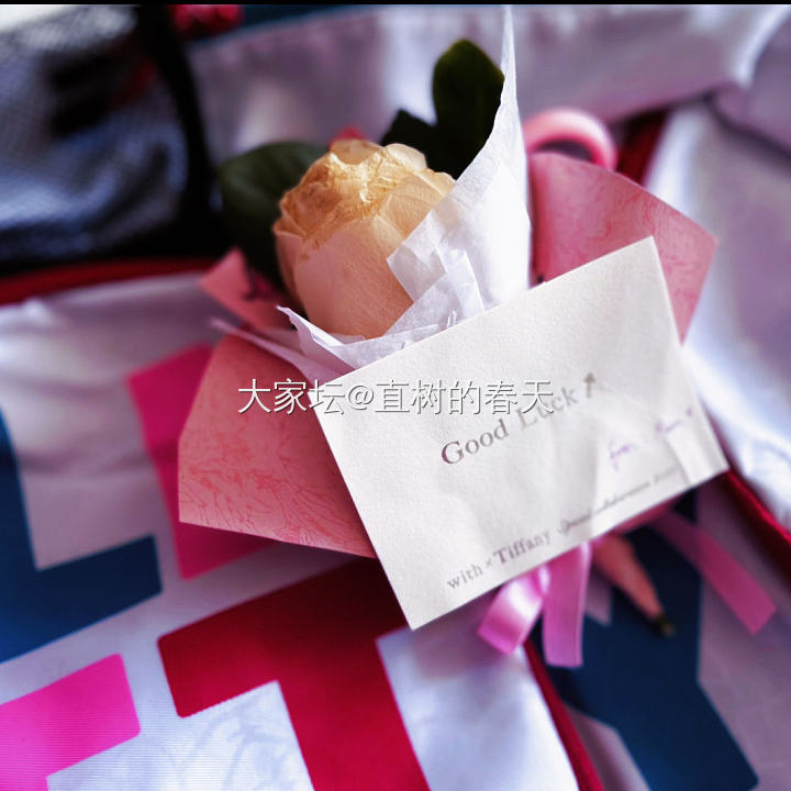 神兽归笼🤭_生活育教亲子闲聊