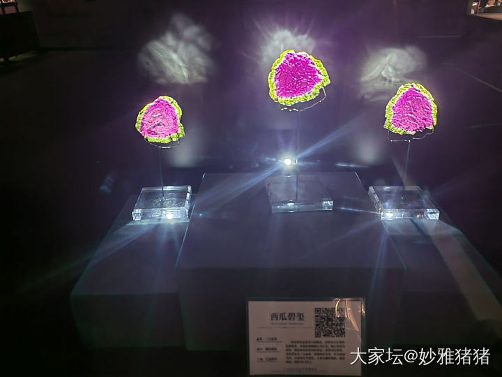 陪小娃逛地质博物馆忽逢珠宝展_博物馆彩色宝石名贵宝石