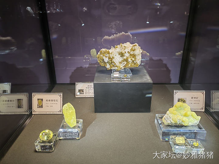 陪小娃逛地质博物馆忽逢珠宝展_博物馆彩色宝石名贵宝石