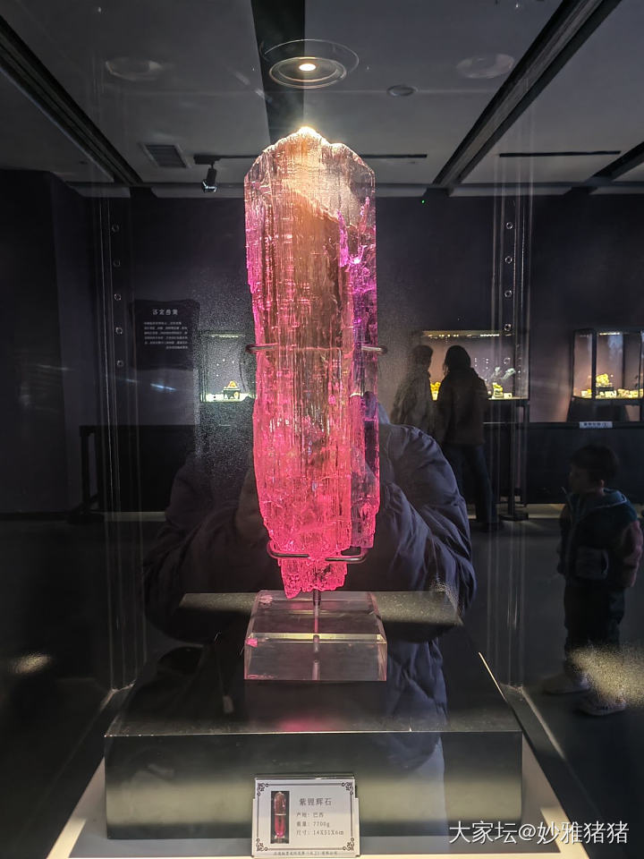 陪小娃逛地质博物馆忽逢珠宝展_博物馆彩色宝石名贵宝石