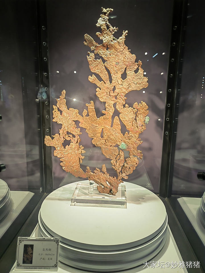 陪小娃逛地质博物馆忽逢珠宝展_博物馆彩色宝石名贵宝石