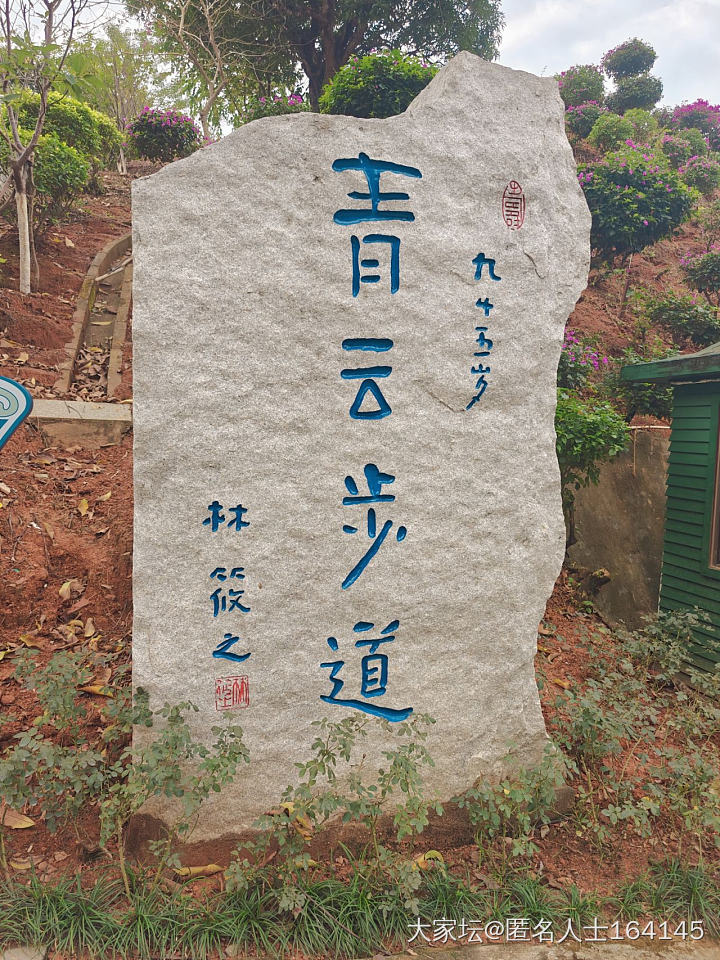 深夜与小姑子讨论她的婚姻，没领证想离婚_闲聊