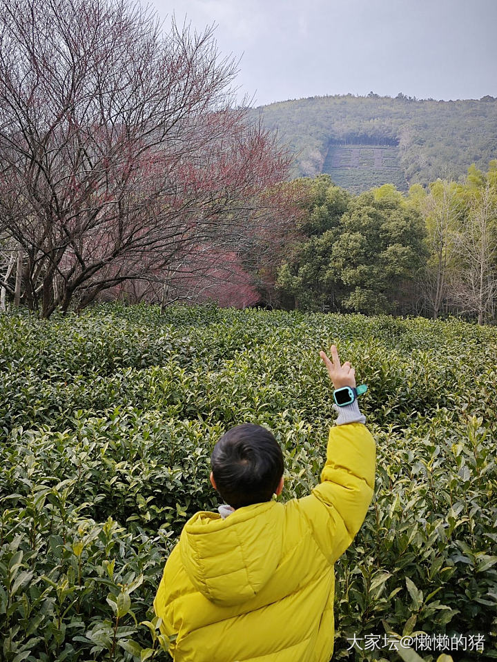 新年第一山：旺山_旅游