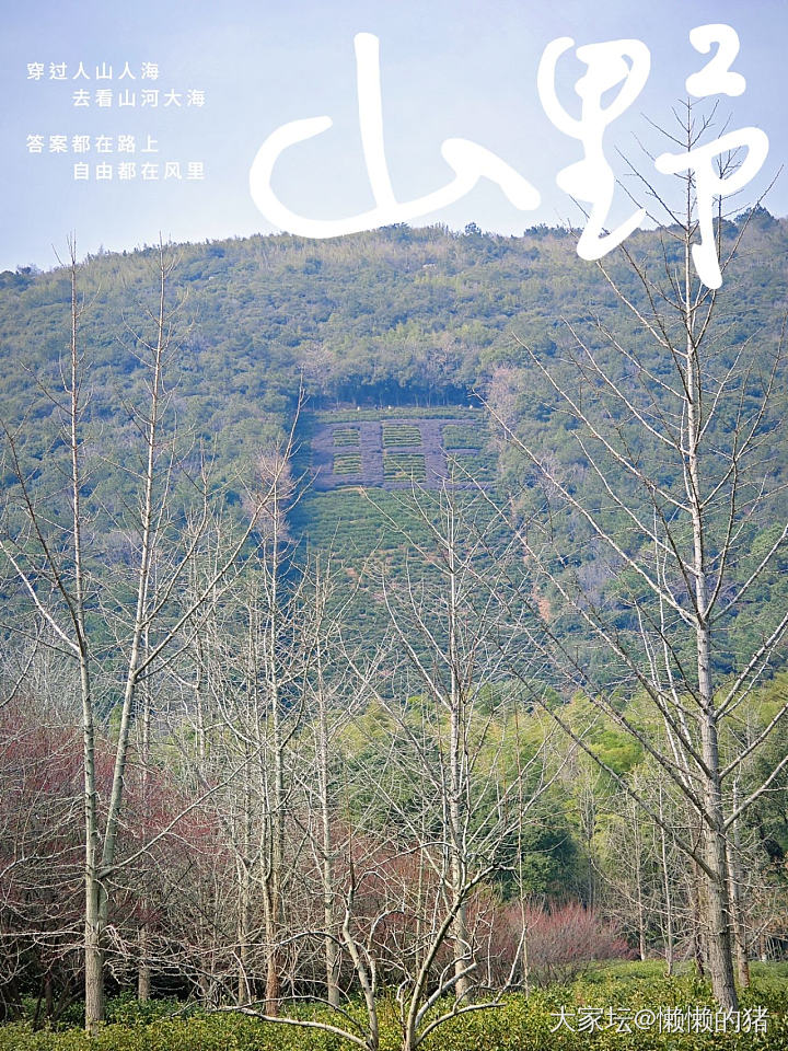 新年第一山：旺山_旅游