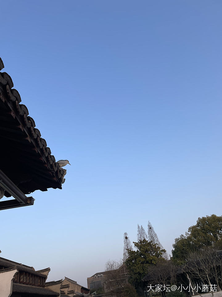 美好的周日过去了_闲聊