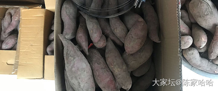 适合空气炸锅烤的蜜薯能流油的姐妹们有推荐吗_美食