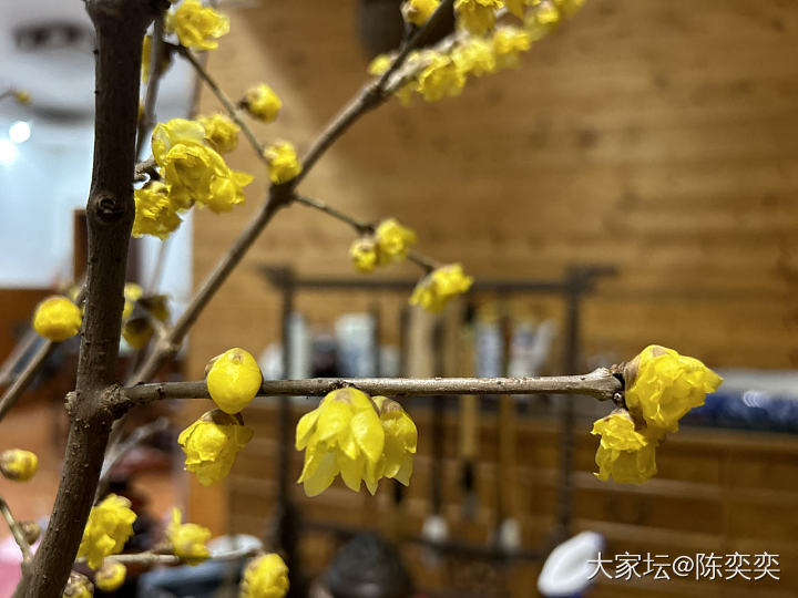 秀个新文具…_文玩