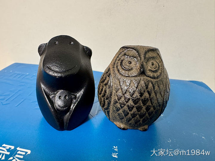 肥嘟嘟的猫头鹰与亲子猴的奇妙相遇！_文玩