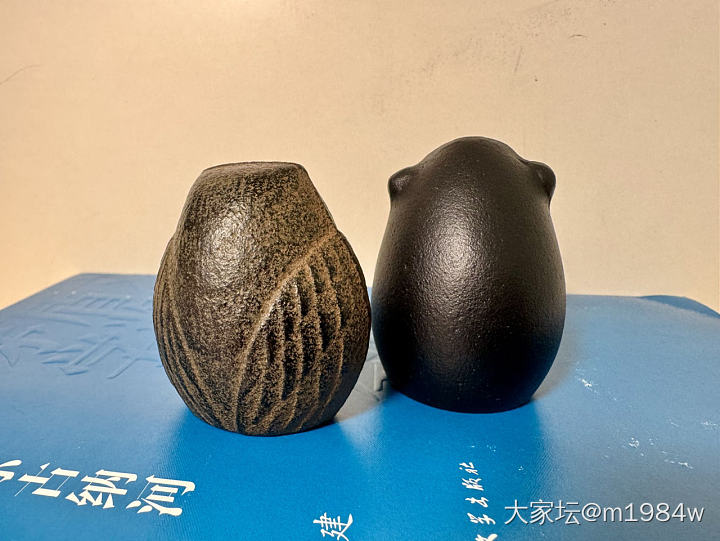 肥嘟嘟的猫头鹰与亲子猴的奇妙相遇！_文玩