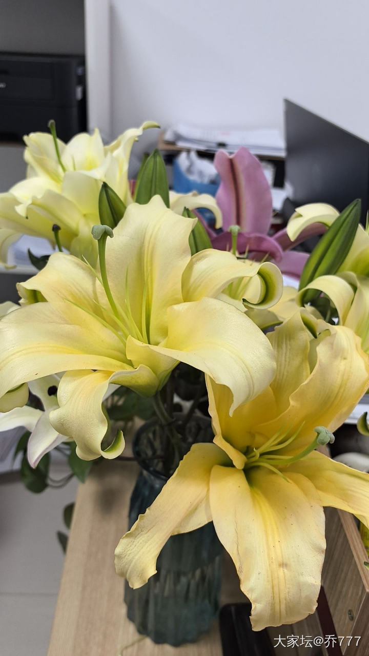 百合花也太香了吧！_花