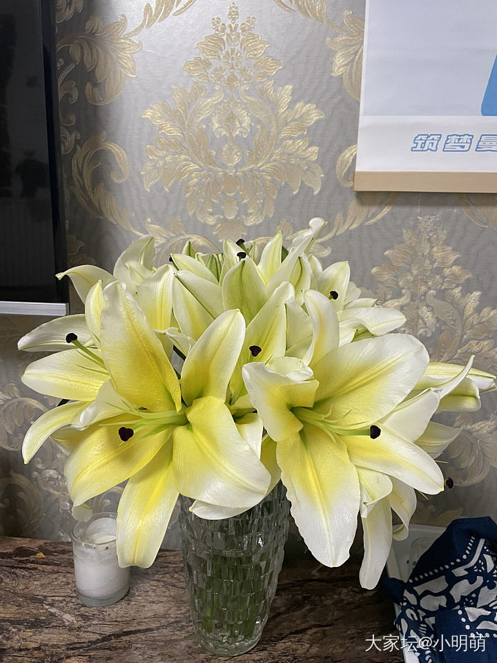 百合花也太香了吧！_花