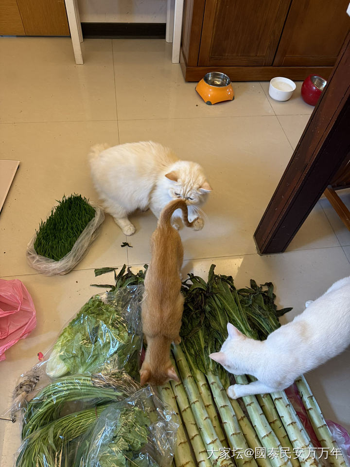 一共花了13.8元_食材闲聊