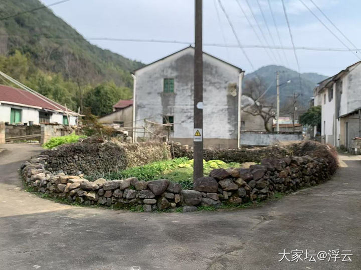 来到嵊州茶乡，买了梅干菜_旅游