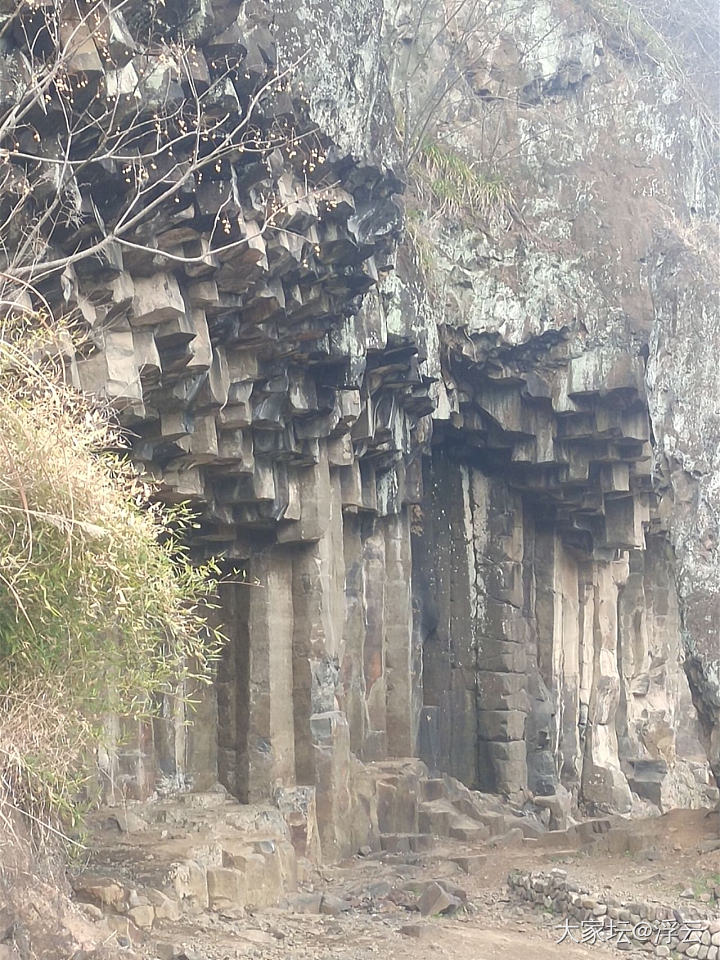 来到嵊州茶乡，买了梅干菜_旅游