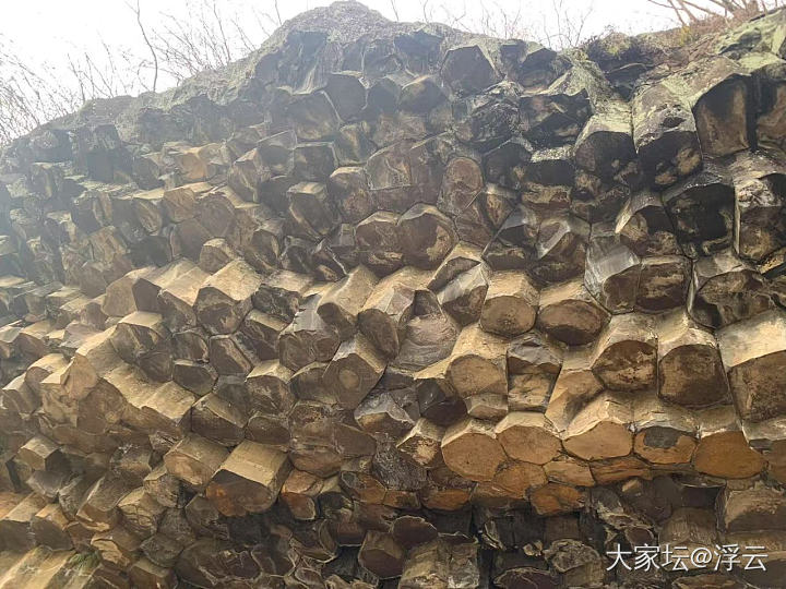 来到嵊州茶乡，买了梅干菜_旅游