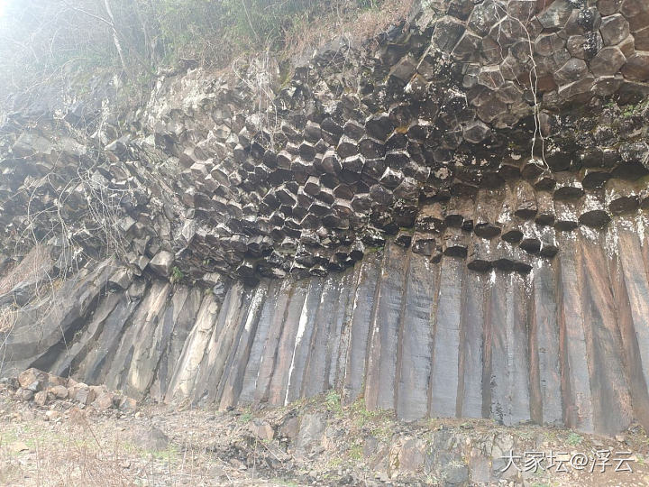 来到嵊州茶乡，买了梅干菜_旅游