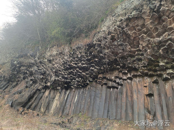 来到嵊州茶乡，买了梅干菜_旅游