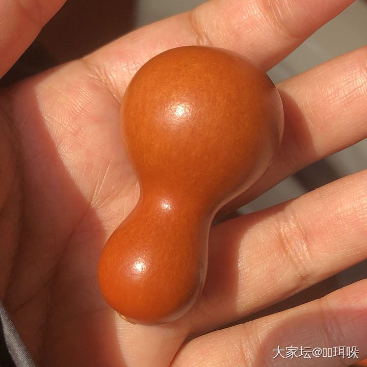 继续晒葫芦_葫芦