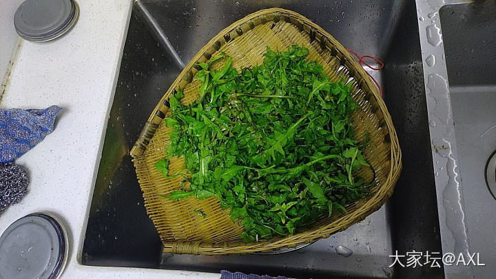 挖荠菜_美食