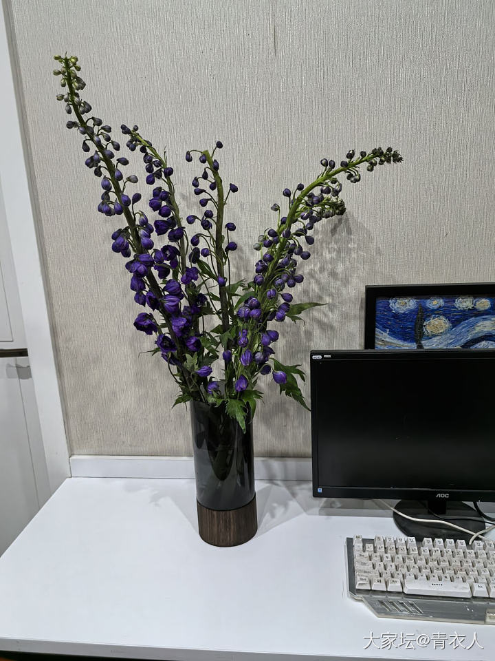 终于明白了老祖宗说的紫气东来……_花