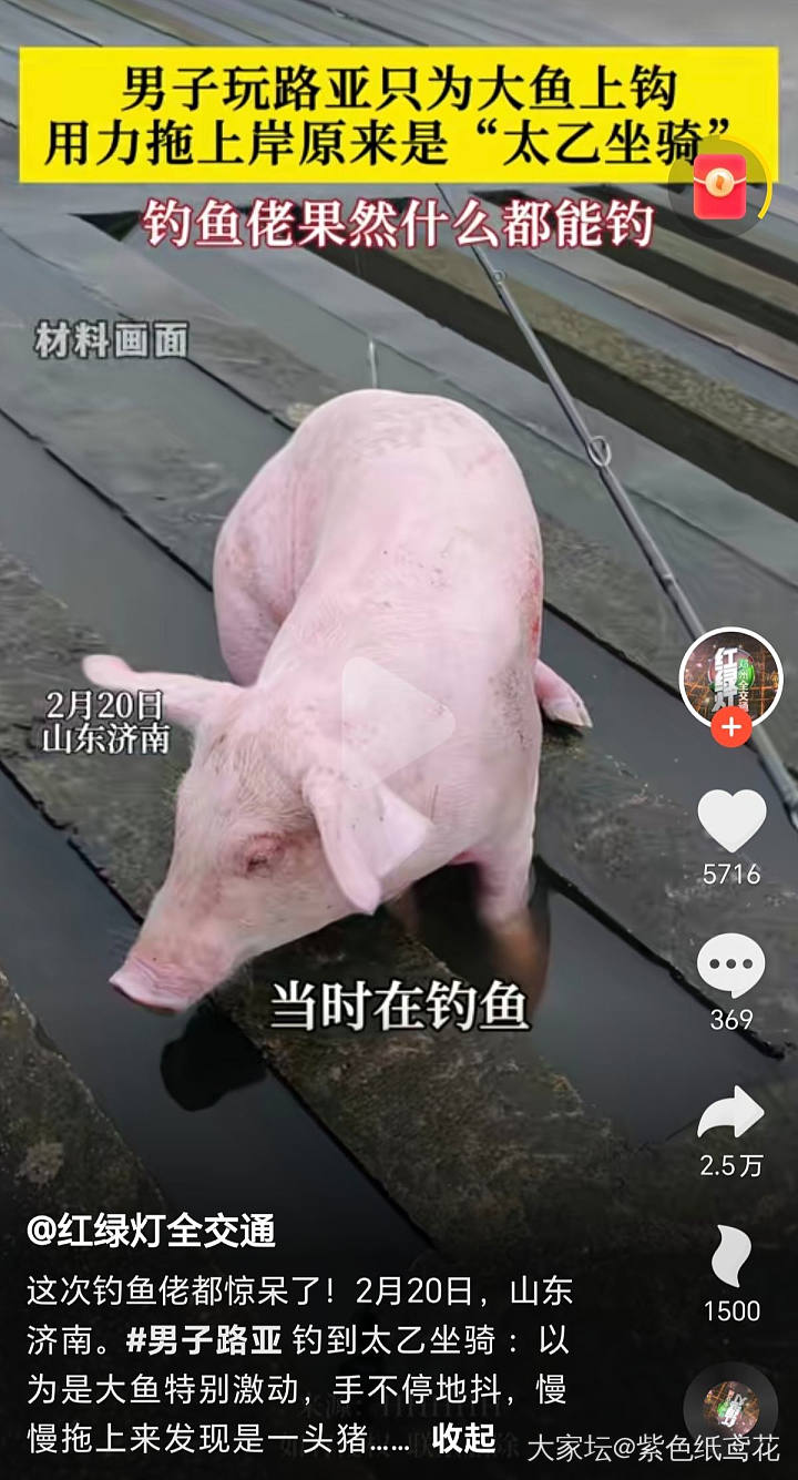 开心一刻：钓鱼佬又钓上大货了。_闲聊