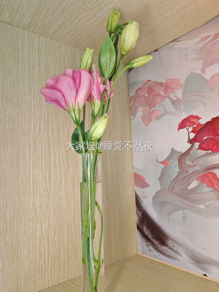 论背景干净的重要性_花植物