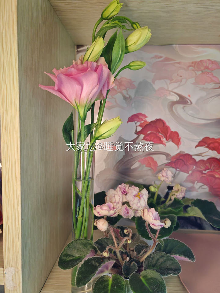 论背景干净的重要性_花植物