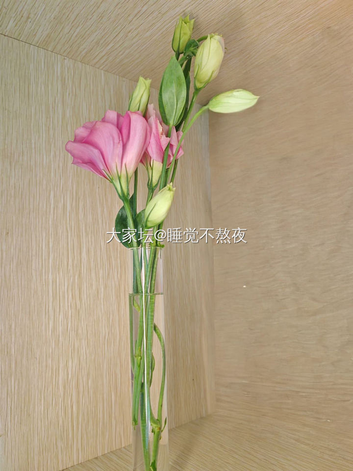 论背景干净的重要性_花植物