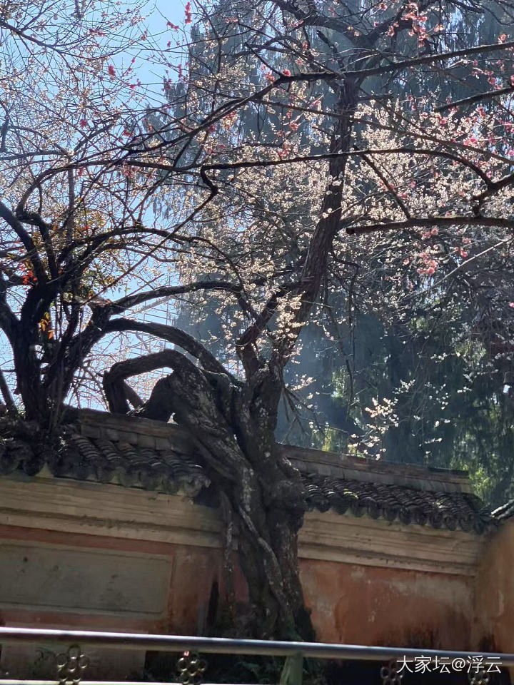 残雪消融的天姥山_旅游