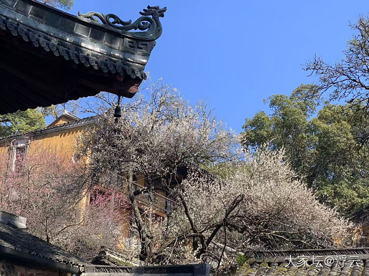 残雪消融的天姥山_旅游
