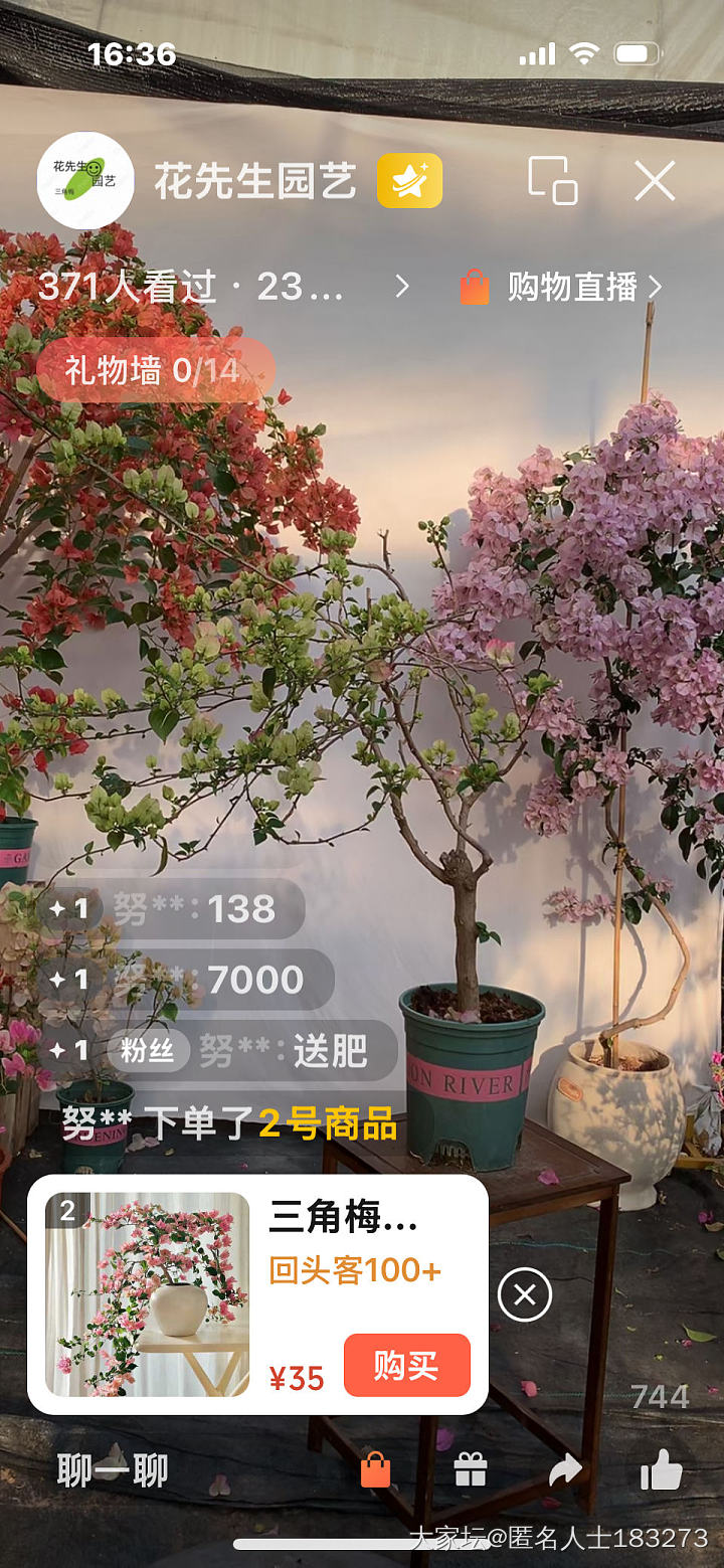 早，三月。_闲聊植物生活