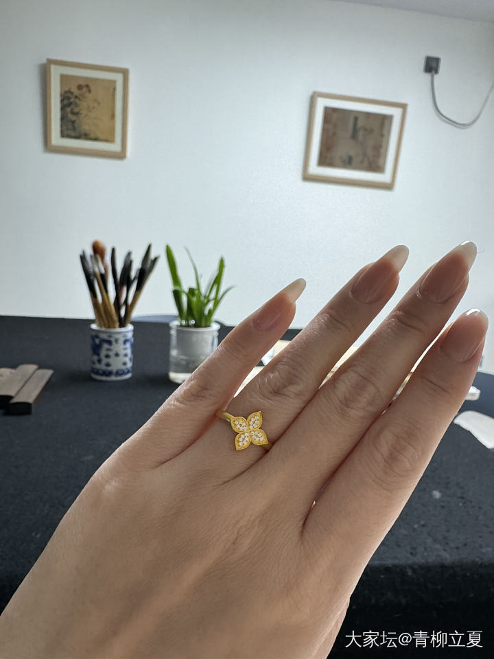 新买的戒指_戒指金