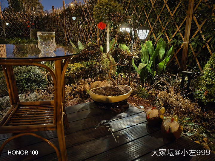 养什么死什么，老板都给我气笑了_植物
