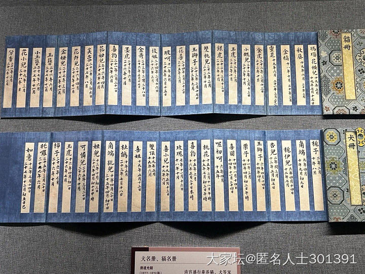 两百年前小猫小狗的名字_宠物
