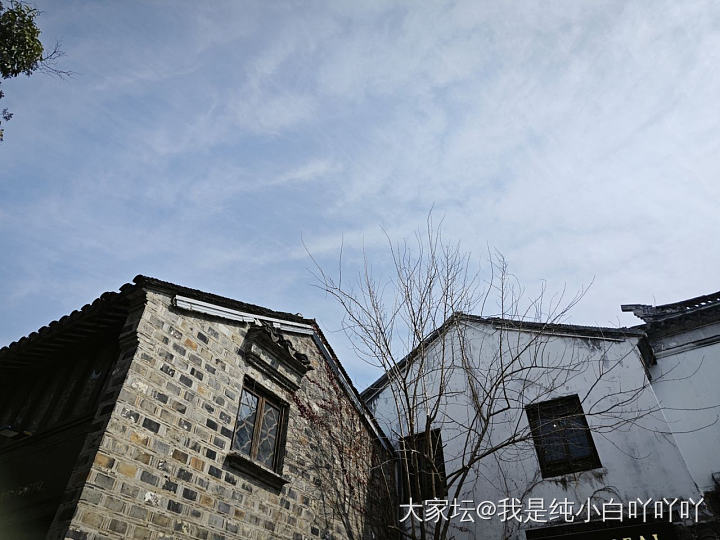 春来到，江南好_旅游