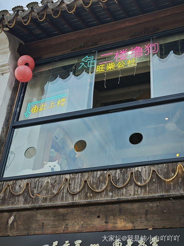 春来到，江南好_旅游