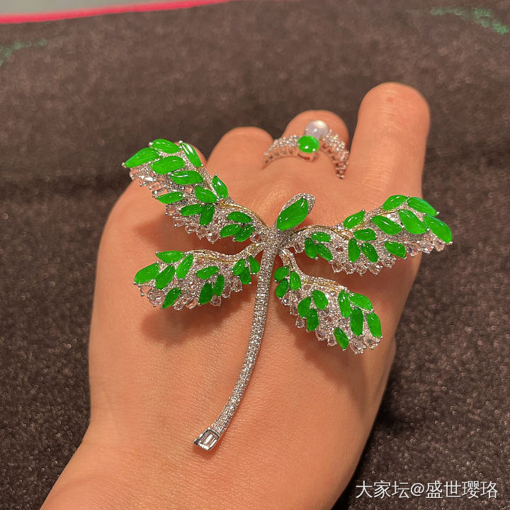 会飞的蜻蜓_翡翠