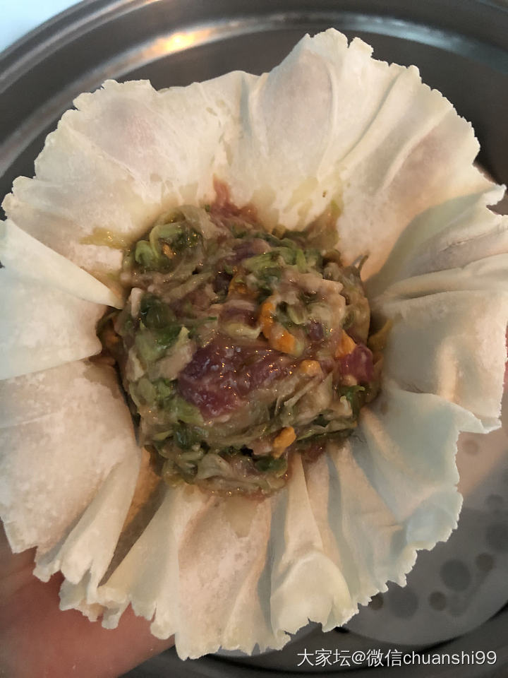 海虹猪肉槐花烧卖_美食