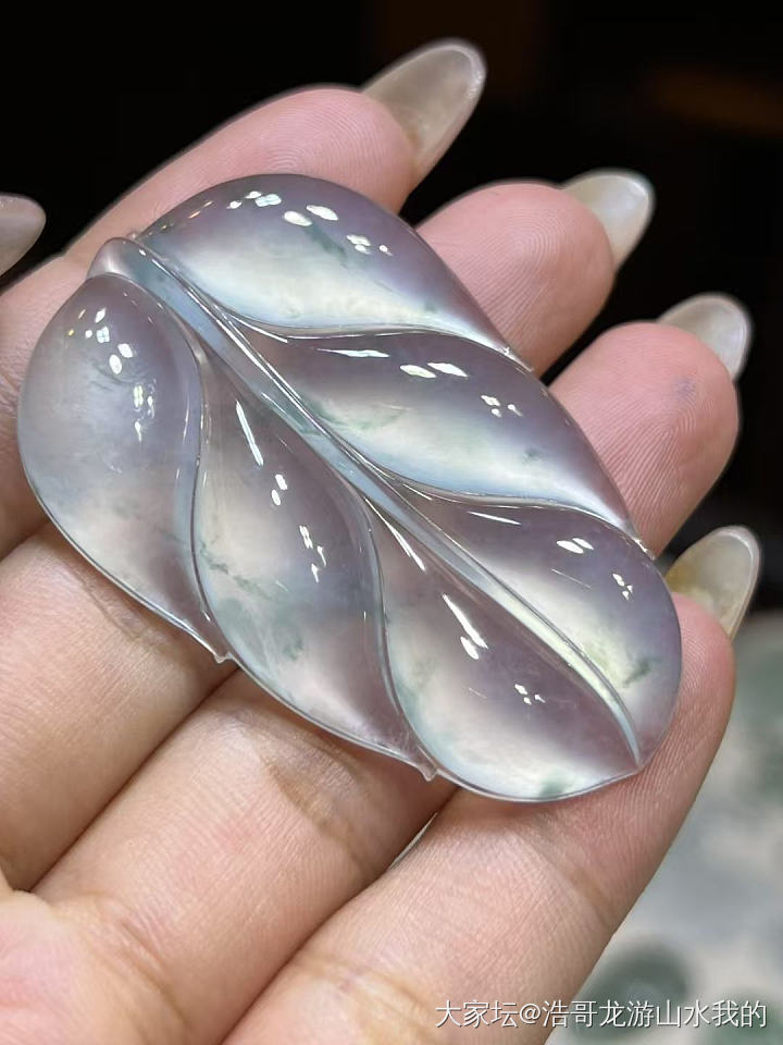 这个大的冰飘花叶子好不好看？_翡翠