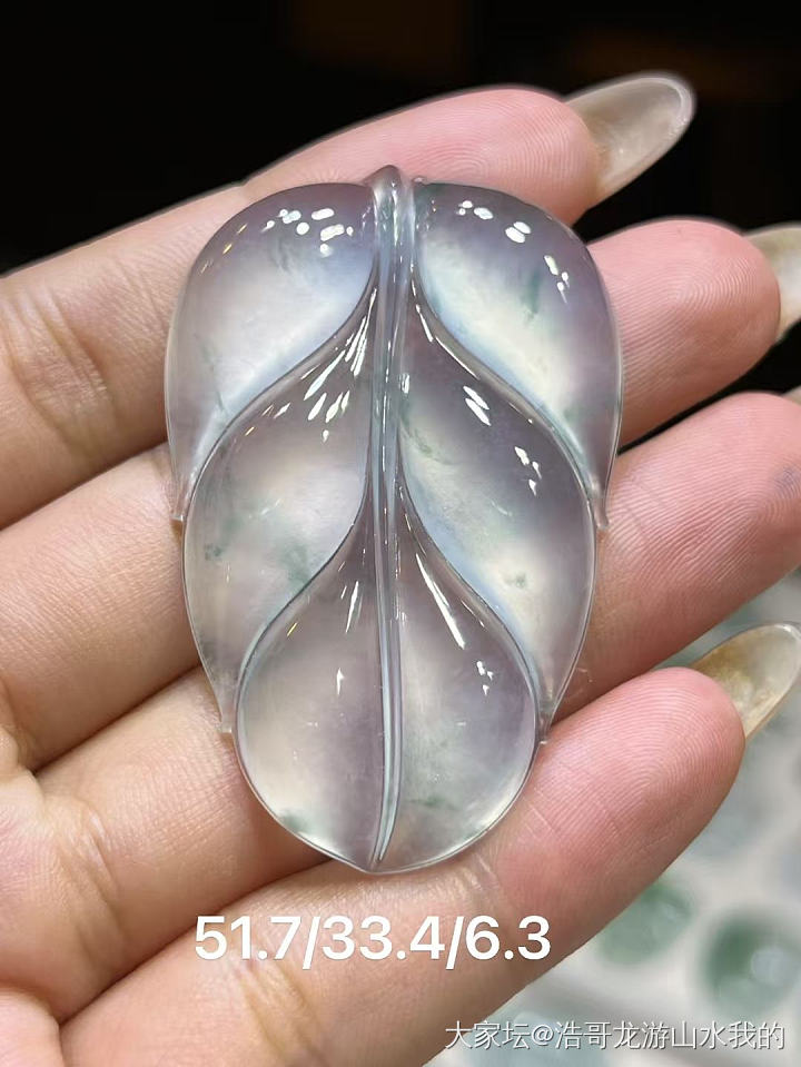 这个大的冰飘花叶子好不好看？_翡翠