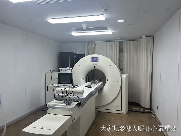 又来医院了_宠物