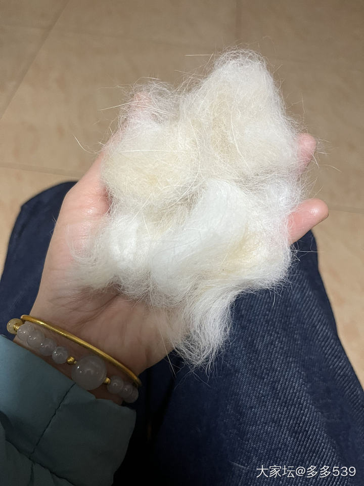 每次梳毛都掉这么多，我都担心它会不会秃了_猫