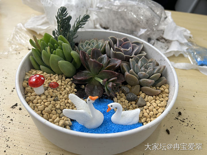 女神节活动_闲聊