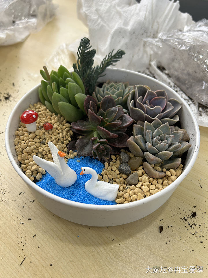 女神节活动_闲聊