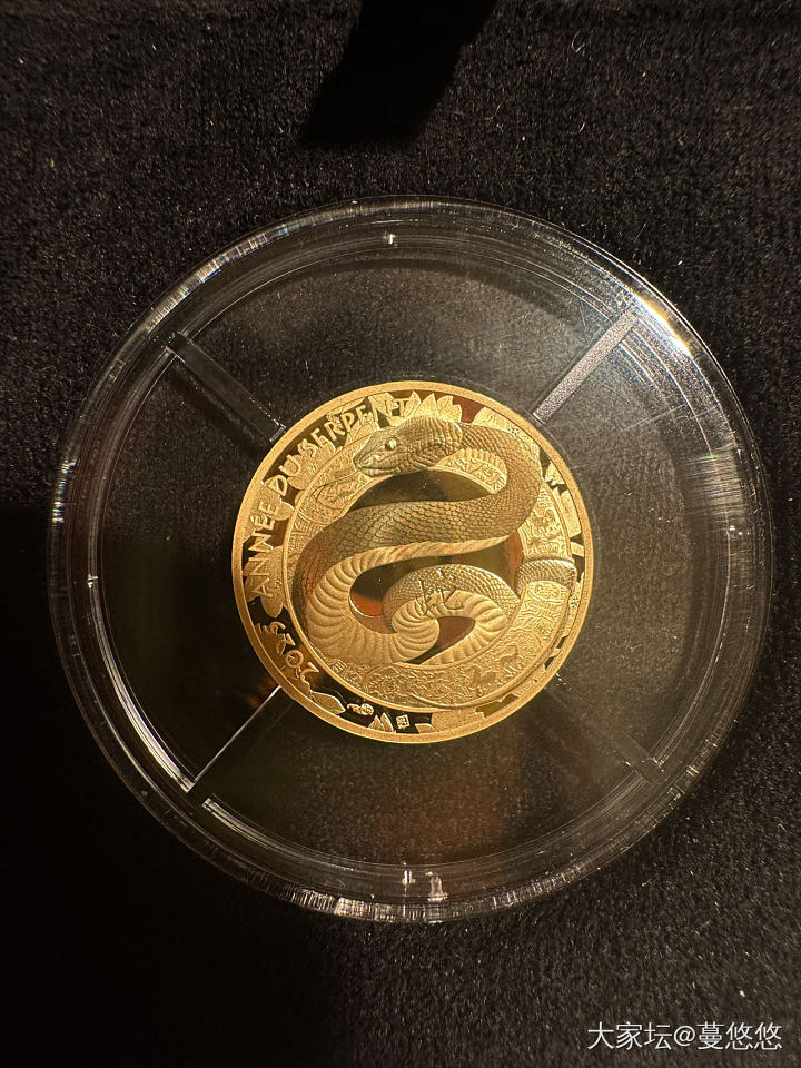 蛇年纪念金币_金
